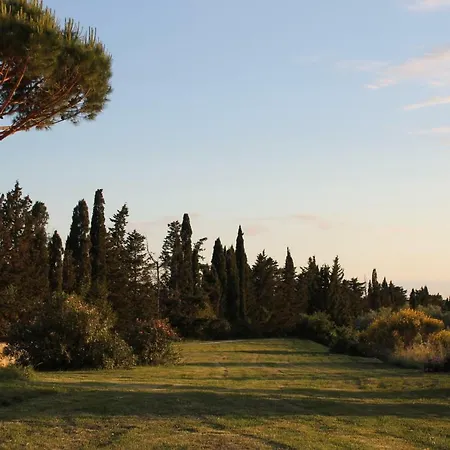 Le Grascete * Bolgheri