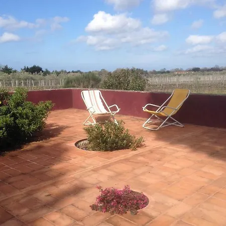 Le Grascete Apartment Bolgheri