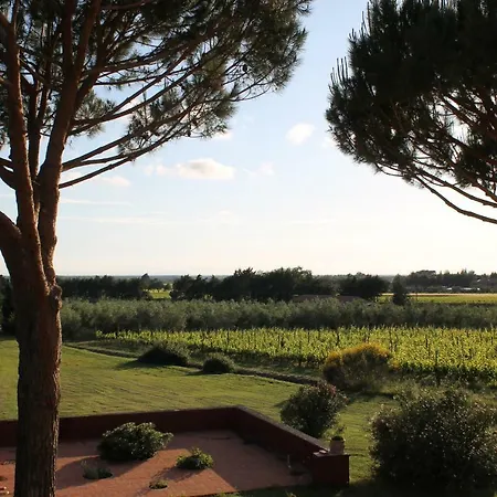 Le Grascete Bolgheri